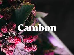 Cambon Font preview